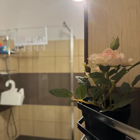 Cosy Flat With Large Balcony