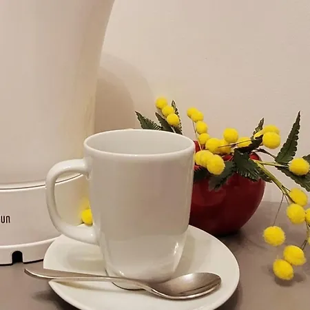 Cosy Flat With Large Balcony Apartment