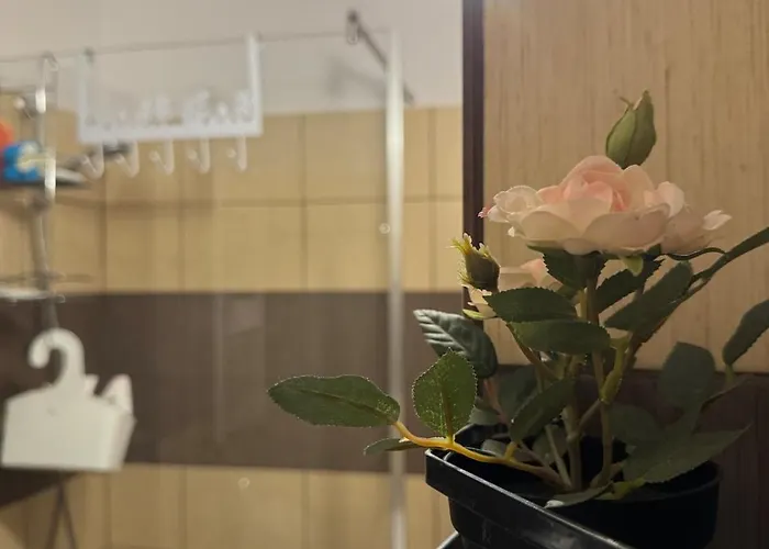 Cosy Flat With Large Balcony